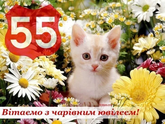 55 лет