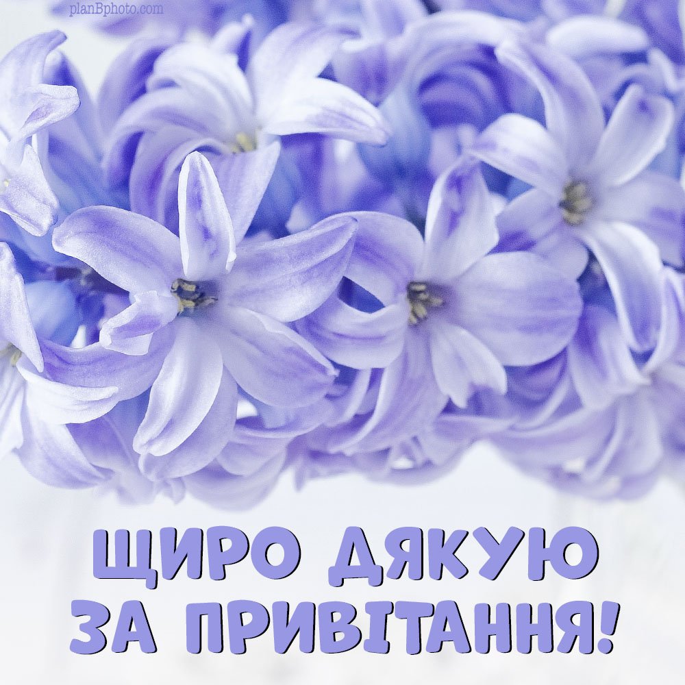 открытки спасибо за поздравления