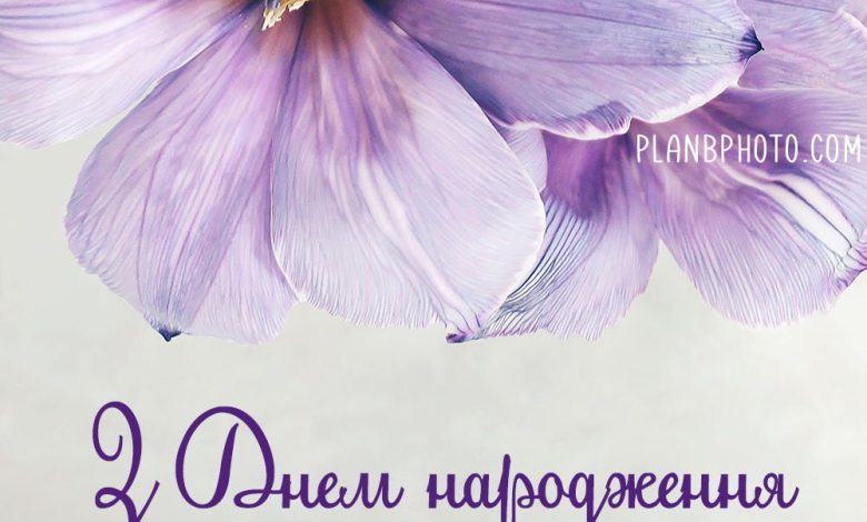 пожелания на день рождения своими словами