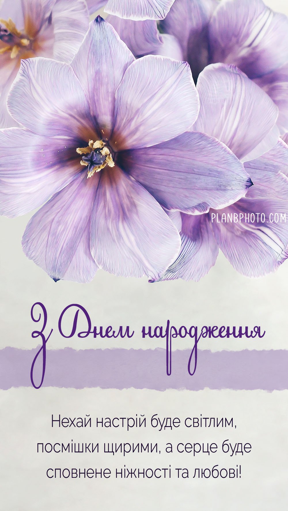 побажання на день народження своїми словами