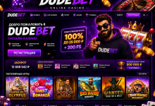 Гайд по Dude Bet казино для новачків без ігрового досвіду